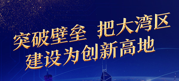 中国国际经济交流中心总经济师陈文玲：突破壁垒 把大湾区建设为创新高地