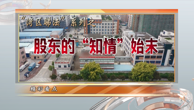 股东的“知情”始末