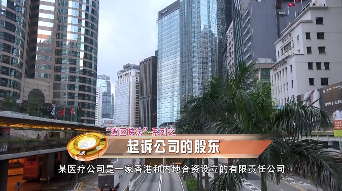 起诉公司的股东
