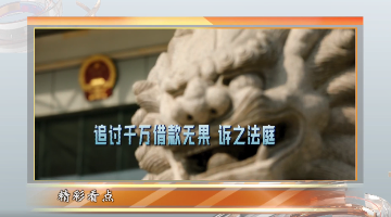 我的借款谁来还