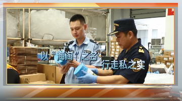 千万“海淘”走私案