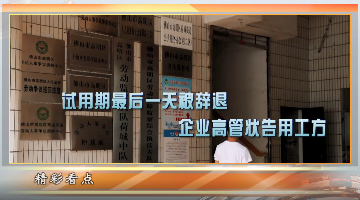 被辞退的高管