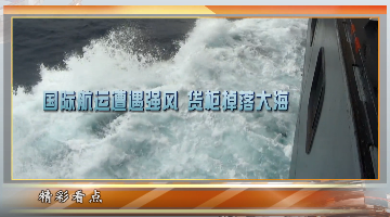 落海的货柜