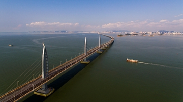 广东迎来全国首批粤港澳大湾区律师