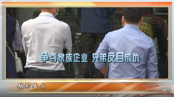 家族企业争产风波