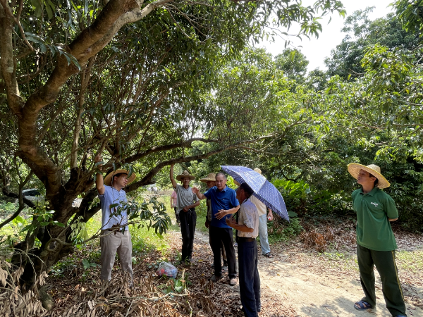 澳门特区政府召开促进横琴建设领导小组首次工作会议