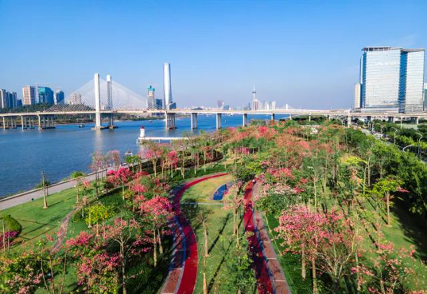 近年来，横琴致力推动与澳门的一体化发展，建设包括“澳门新街坊”在内的一大批宜居宜业项目，大力推进宜居宜业宜游优质生活圈的建设。图为横琴花海长廊。