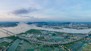 在这里牵手世界——广州南沙推进粤港澳大湾区建设走笔