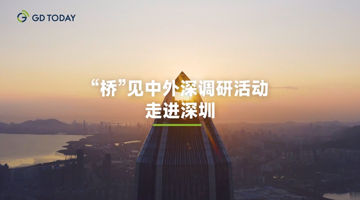 为何外商外资都看好大湾区？“桥”见中外在深圳探秘