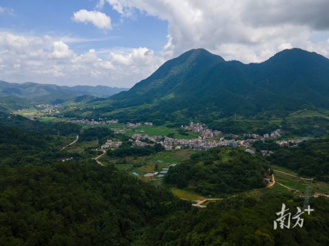 罗定市龙湾镇万亩南药种植示范基地。  