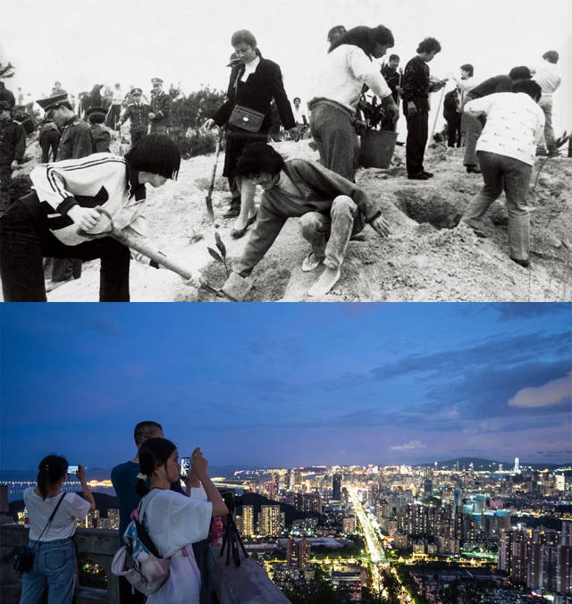 上图：1985年，全市机关干部义务在板樟山上植树；下图：2020年，傍晚，市民和游客在板樟山上乘凉看风景