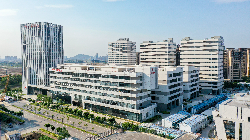全面恢复通关后香港考察“天团”为何来这里？广州南沙给出了答案