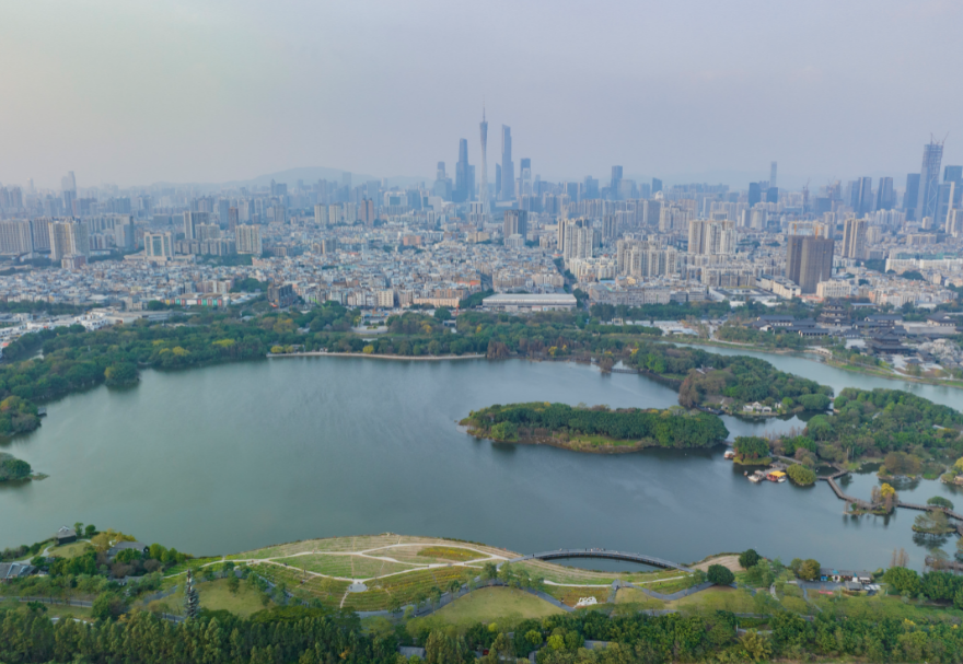 5月22日是国际生物多样性日。湿地具有涵养水源、调节气候、维持碳循环等极为重要的生态功能，是生物多样性的重要发源地之一。粤港澳大湾区拥有多个湿地公园，优质的生态环境为各种生物提供了生存繁衍空间，对维护生物多样性起到积极意义。广州海珠国家湿地公园是全国特大城市中心区域面积最大的湿地公园，目前湿地率达79.4%，鸟类种类从72种增加到187种，昆虫种类从66种增加值738种，鱼类从36种增加到64种。图为广州海珠湿地公园。
