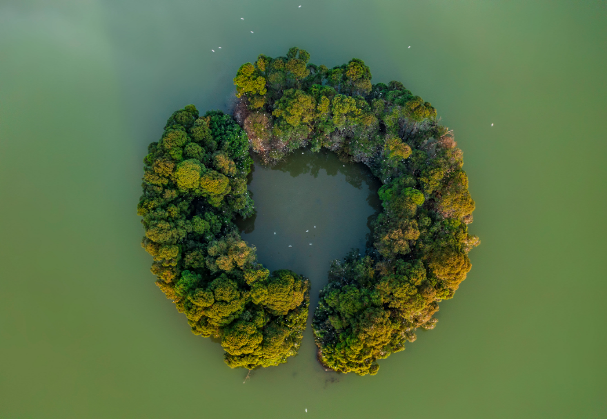 佛山三水云东海国家湿地公园坐落于珠三角腹地，总面积超过400公顷，是佛山市国家森林城市建设的重点工程，也是佛山市湿地体系中“三江汇流”保育区的湿地生态景观核心和珠三角地区鸟类迁徙的重要节点。湖水潋滟、植被茂盛，月亮湖湖心环形小岛吸引了上千只鹭鸟在此集聚栖息。图为佛山三水云东海国家湿地公园。