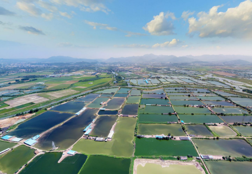 潼湖湿地是广东省最大且极少的典型内陆淡水湖泊湿地，包含了4个湿地类型：湖泊湿地、河流湿地、基塘湿地和水库湿地，这在广东省内十分难得，是候鸟迁徙重要停歇地和栖息地。图为惠州潼湖国家湿地公园。