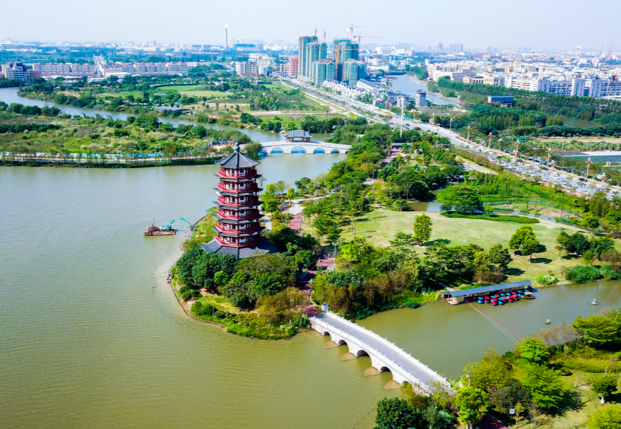 在东莞，华阳湖经过数年整治，完成了从“污染重灾区”到“湿地公园”的美丽蜕变，东莞麻涌华阳湖国家湿地公园更是以优美的风光和环境成为了东莞旅游的一张亮丽名片，吸引了白鹭、夜游鹤、野鸭等一大批水鸟重归这片栖息地。图为东莞麻涌华阳湖国家湿地公园。