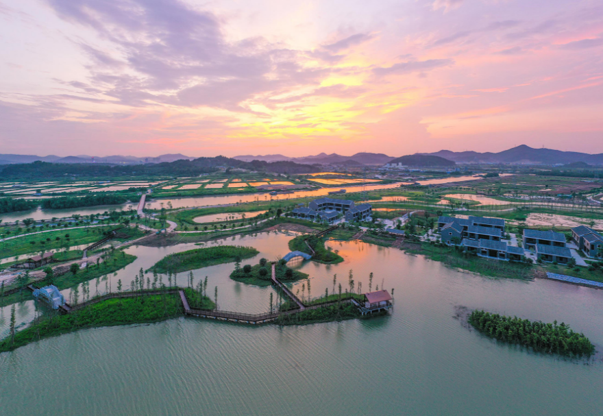在中山翠亨国家湿地公园，红树林同样是一道靓丽的风景线，在黄昏时分，公园里“秋水共长天一色，落霞与孤鹜齐飞”，一派安谧祥和。图为中山翠亨国家湿地公园。