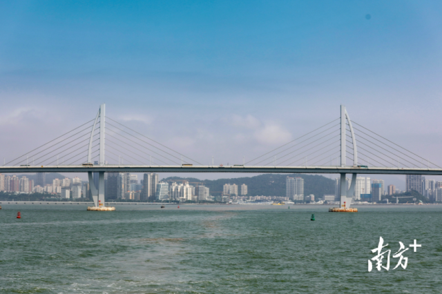 港珠澳大桥与香洲区遥相呼应。南方+记者 钱文攀摄