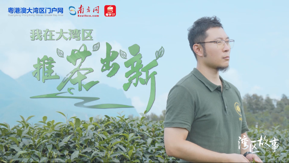湾区故事 | 我在大湾区推“茶”出“新”