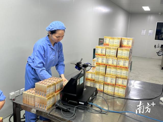 在广东恒健制药有限公司生产车间内，“位元堂”的麝香活络油已完成灌装与包装，赋上药品溯源码后，正式下生产线。