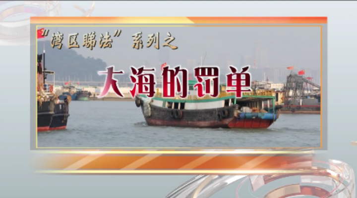 大海的罚单
