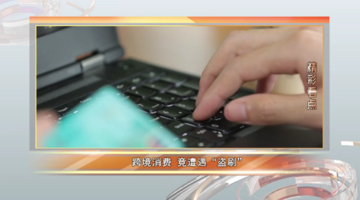 跨境“盗刷”的背后