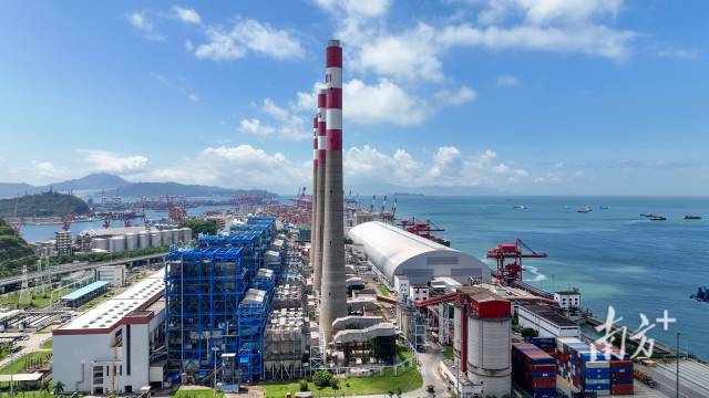 深圳前海保税港区。鲁力 摄