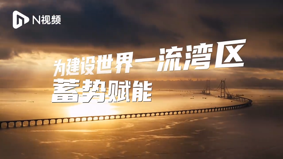 向上生长，向下扎根！《生长大湾区》系列融媒报道上线