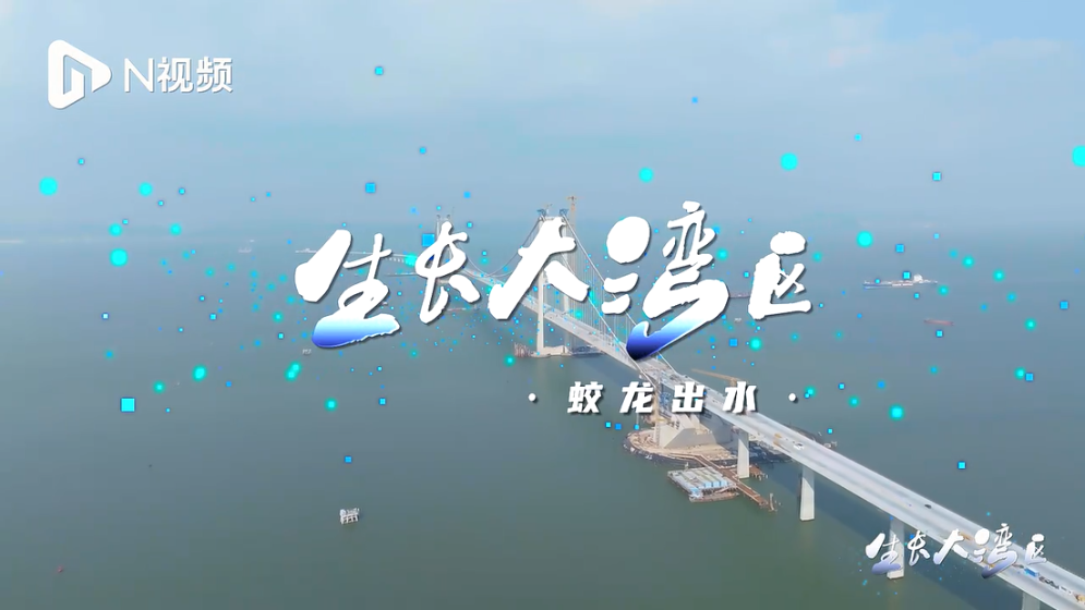 海上蛟龙，蓄势待发！看深中通道如何打通“湾区主动脉”