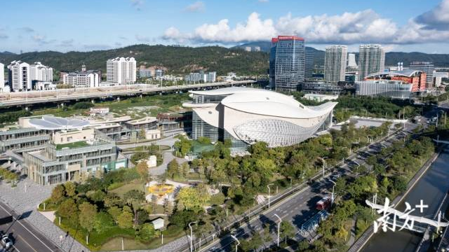 吴创伟：提升政务服务水平，营造更加开放包容的市场环境｜局长话横琴②