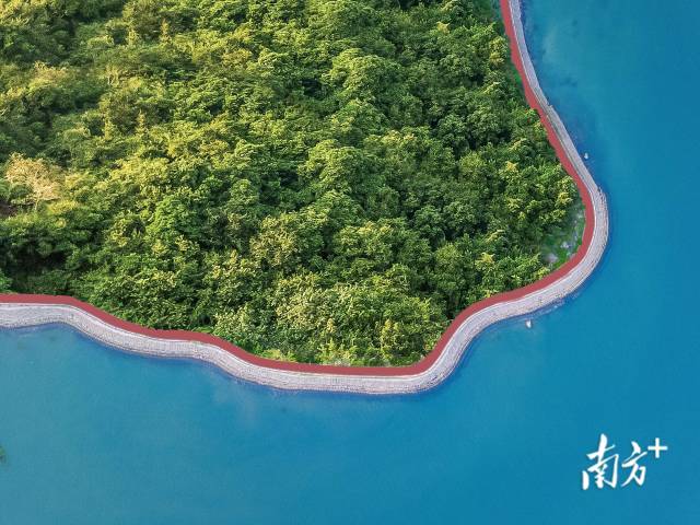 小桂绿道。大亚湾开发区供图