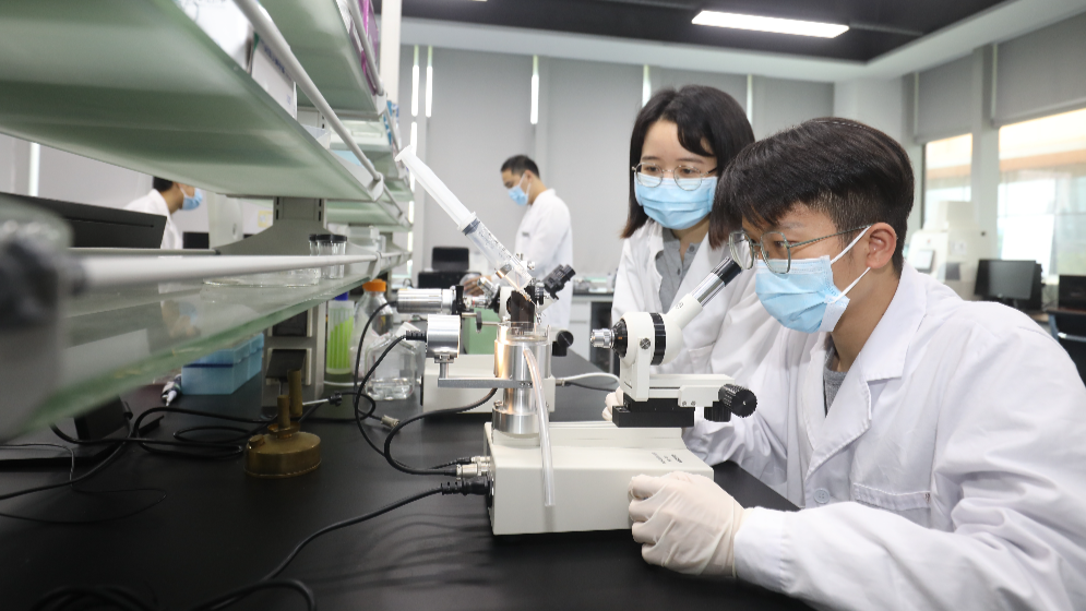 最高1亿元项目资助、保障子女教育！横琴出台人才新政
