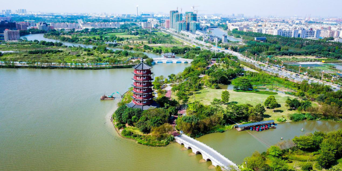 东莞7