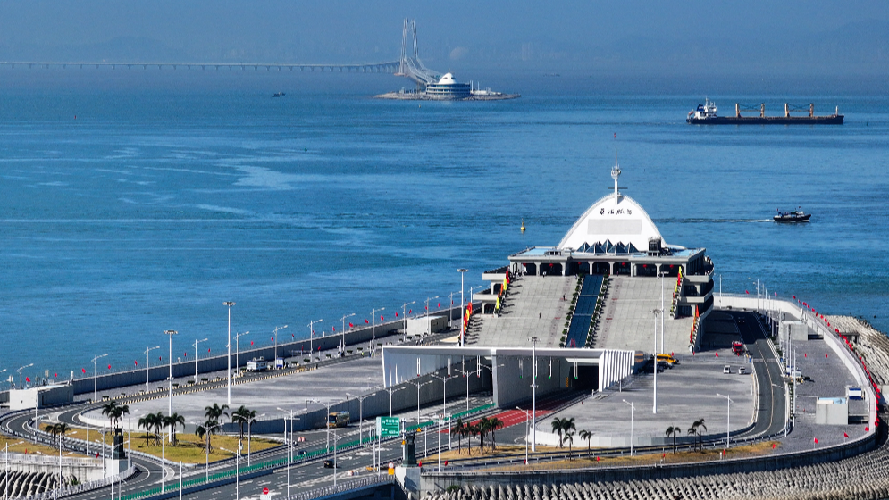 勇立潮头：粤港澳大湾区续写“春天故事”