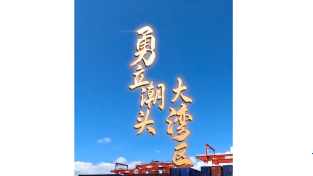 勇立潮头大湾区丨震撼！看广州南沙港智慧码头“隔空取物”