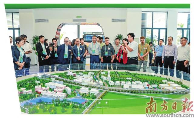 港商在大湾区农产品基地考察基地建设发展情况。受访者供图