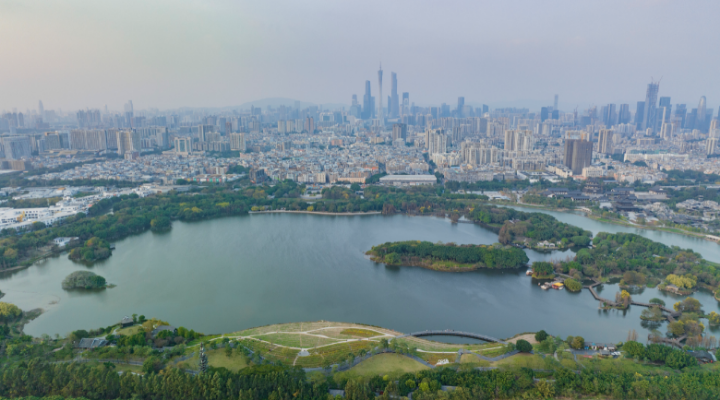 不可缺“湿”的生态之美！一起畅游大湾区湿地公园