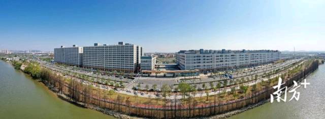 一批深圳企业来到江门建厂，尝到了深江产业合作的甜头。图为德昌电机（江门）有限公司。南方+记者 杨兴乐 摄