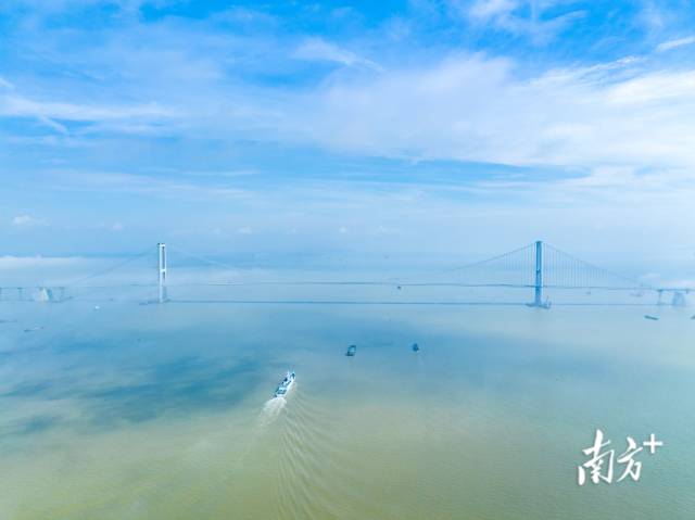 包揽多项世界之最的深中大桥。