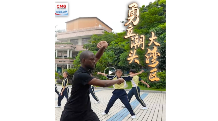 勇立潮头大湾区 | 佛山武术名扬四海，功夫文化发扬光大