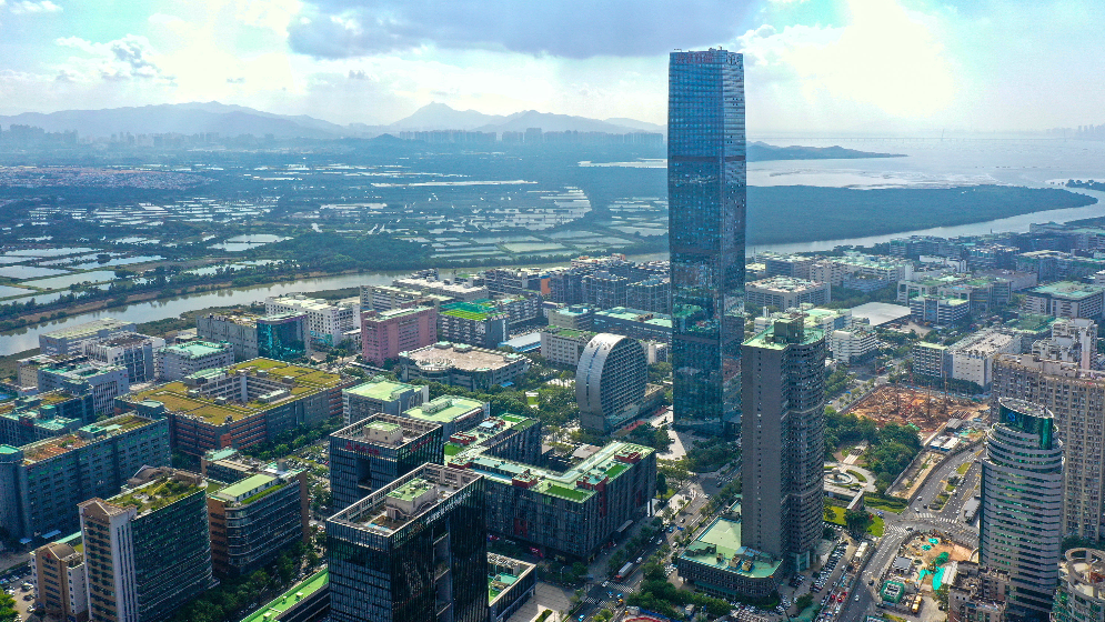高质量建设粤港澳大湾区迈出坚实步伐