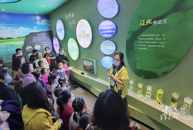 学生走进广东星湖国家湿地公园，了解湿地知识。