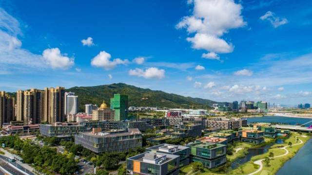 9年孵化港澳项目逾700个，看横琴如何打造澳门青年成长沃土