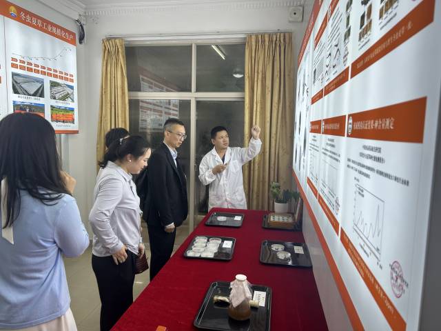 向16家知名企业推广琴澳营商优势，促进区域产业协作发展。