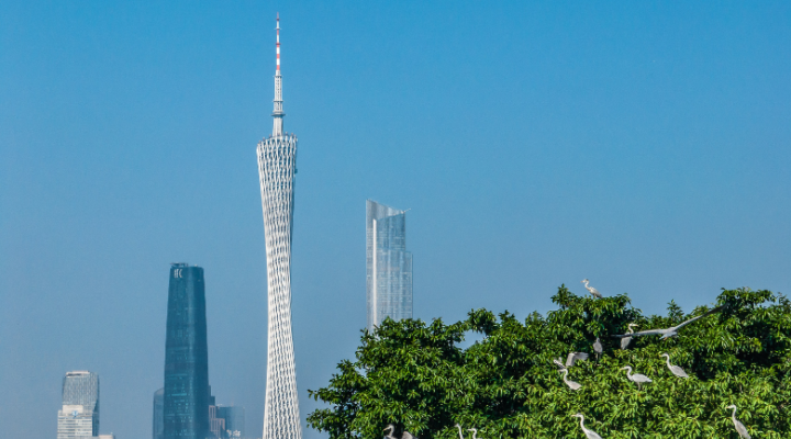 省文化和旅游厅党组书记、厅长李斌：加快建设更高水平更高质量更有影响力的旅游强省