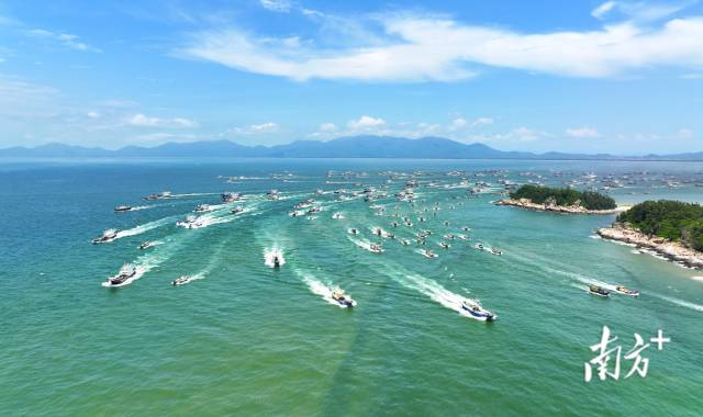 随着现代化海洋牧场建设的深入推进，广东“蓝色粮仓”越建越丰实，“大食物观”之路越蹚越敞亮。2023年以来，广东14个沿海地市已开工现代化海洋牧场项目90个、总投资额202亿元。