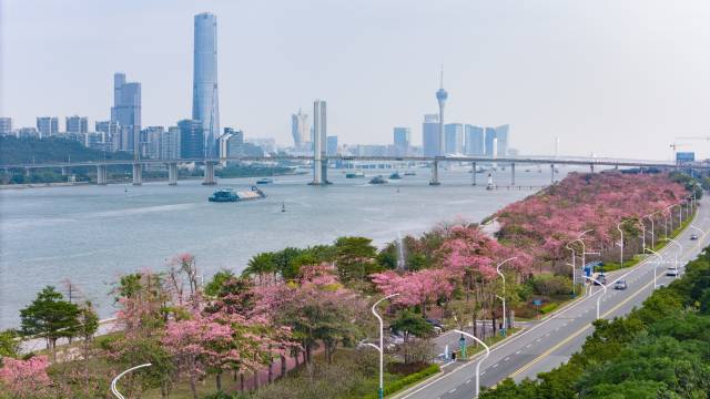 横琴粤澳深度合作区执委会副主任苏崑：当合作区的“全球推荐官”