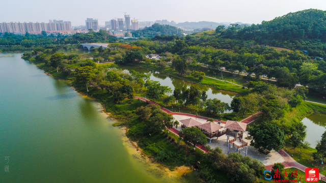 广东珠海水松林省重要湿地（通讯员供图）