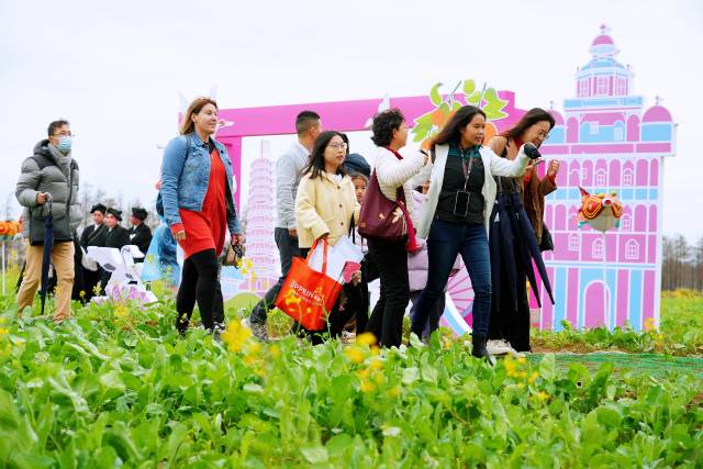 珠中江三市首次联合打造珠西都市圈城乡统筹高质量发展先行区乡村旅游风情带