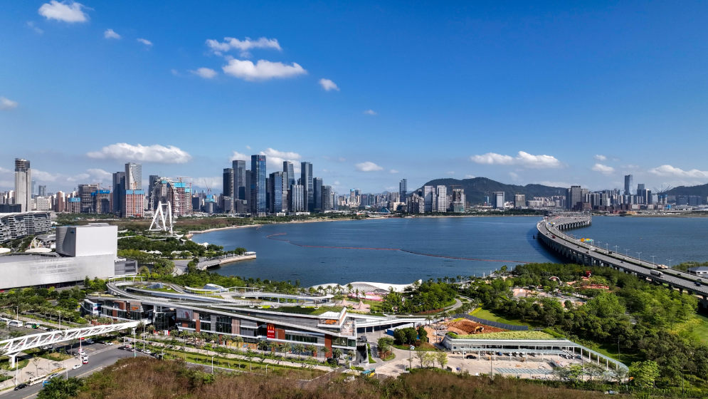沙特政企代表团访深圳前海，这些合作要搞大！